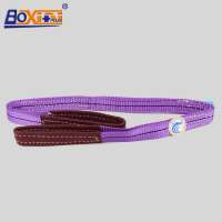 Polyester Flat Webbing Lifting Sling with Flat Eye